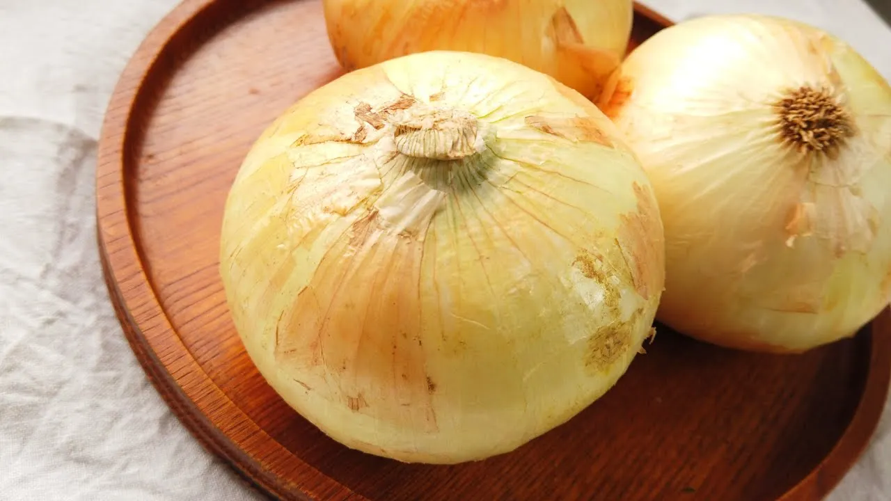 新玉ねぎステーキ（ガーリックバター醤油ソテー）